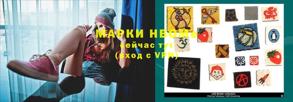прущие грибы Лиски