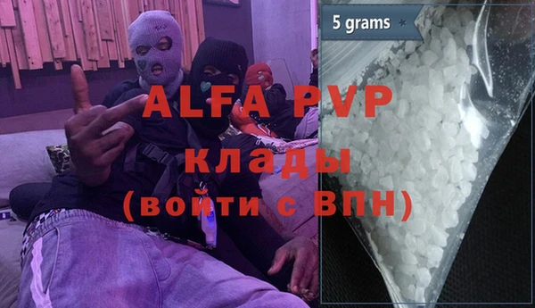 прущие грибы Лиски
