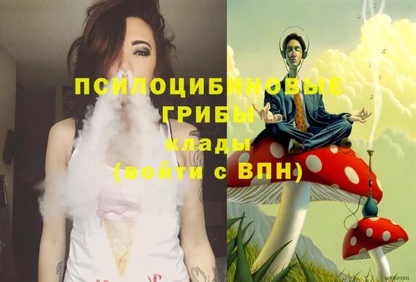 прущие грибы Лиски