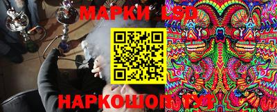 шишки Аргун