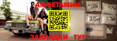 шишки Аргун