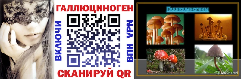 Псилоцибиновые грибы MAGIC MUSHROOMS  закладки  Белгород 