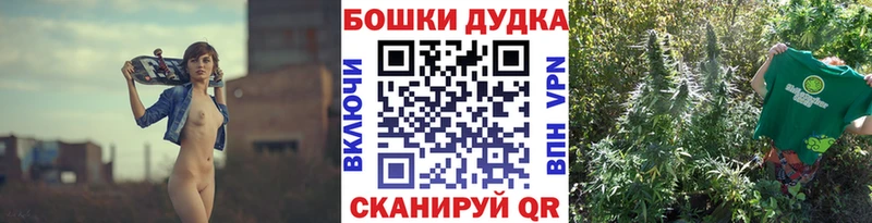 Конопля план  где купить наркоту  Белгород 